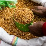 a514f361e86f2d6fc058be7c311d9ede5c5df69f